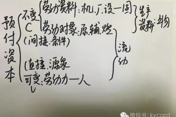 如何计算可变资本及其应用分析